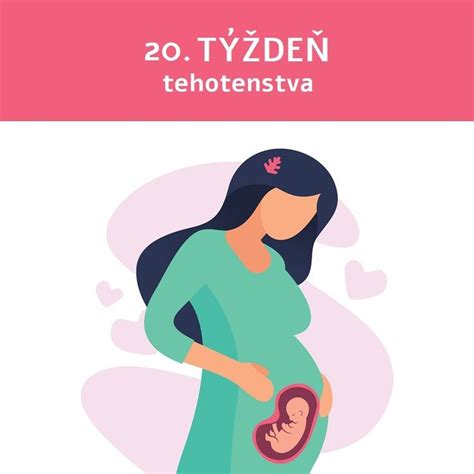 Ilustrácia znázorňujúca rôzne štádiá tehotenstva