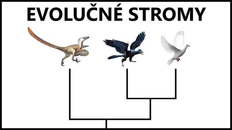 Infografika: Evolučný strom rýb a prechod na suchozemce