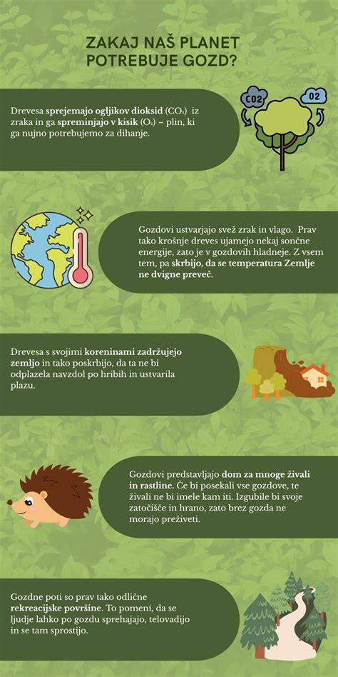 Infografika: Princípy Mačingovej diéty a dve fázy detoxikácie
