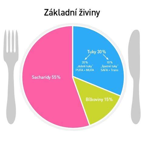Infografika: Výživa a živiny pre maďarskú vyžlu