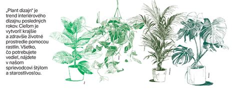 Ilustrácia rôznych štýlov plazenia dieťaťa