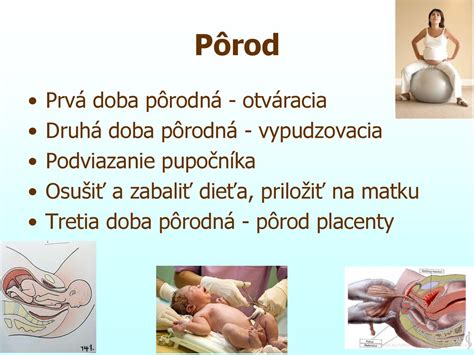 Štruktúra placenty a pupočníka