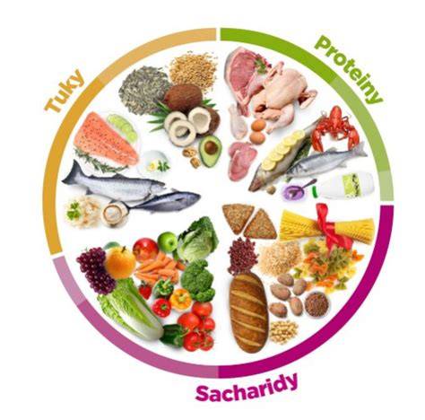 Infografika: Základné zložky vyváženej stravy a ich pomery
