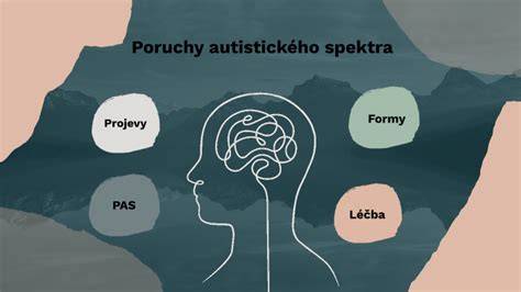 Infografika: Základné piliere výchovy autistického dieťaťa