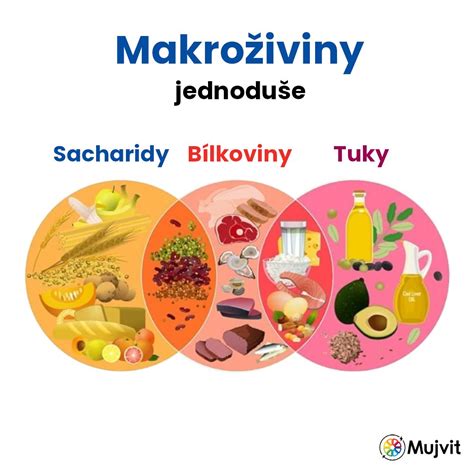 Infografika: Základné makroživiny pre dojčiacu matku a ich zdroje