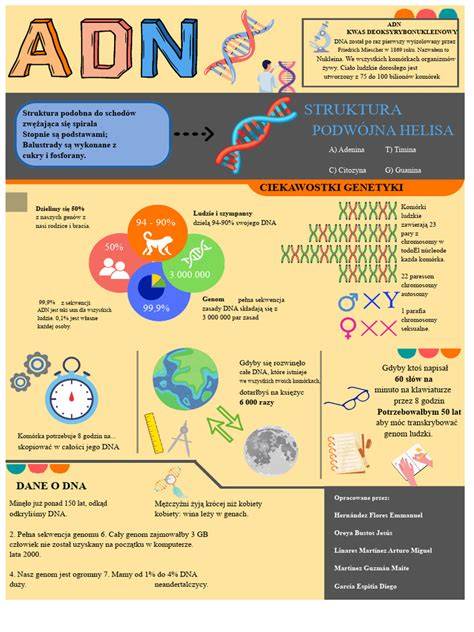 infografika_historicko_kari DNA