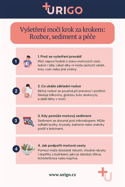 Infografika: Cesty rozhodovania o starostlivosti a styku
