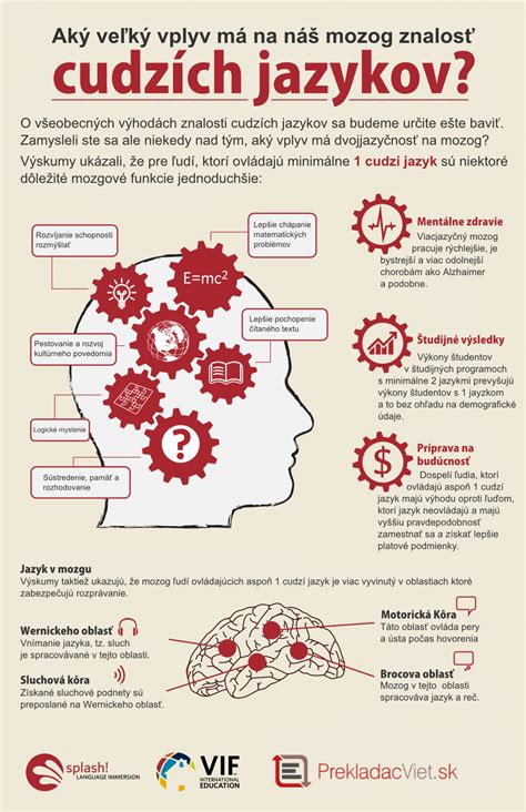 Infografika: Vplyv tukov na mozog a dôležitosť glukózy pre hippocampálne interneuróny