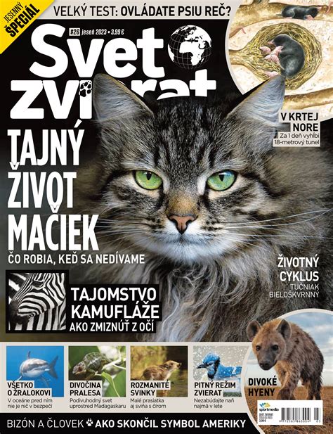Obrázok: Mapa kariérneho smerovania a mentorských spojení po celom svete