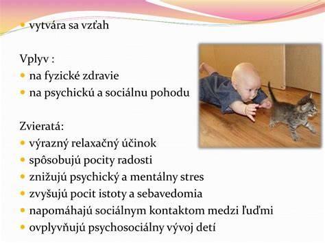Vplyv mimoškolských aktivít na vývin dieťaťa