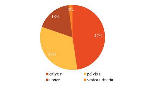 Diagram znázorňujúci umiestnenie vlákien Mireny v strede a smer ich vyvierania