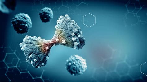 Výživa a mliečna výživa pre teľatá: zásady, praktiky a prevencia ochorení