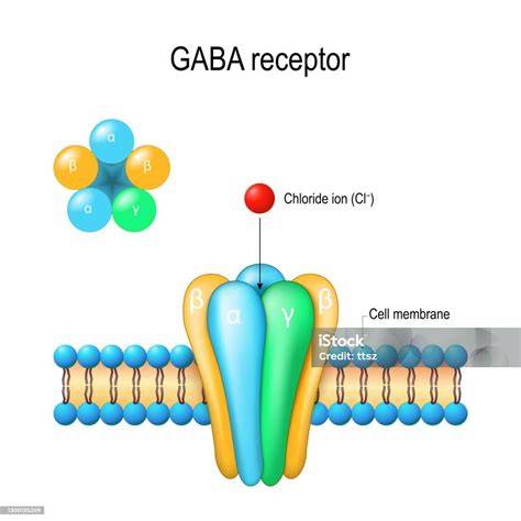 Infografika o účinkoch Xanaxu na GABA receptory a rizikách u detí