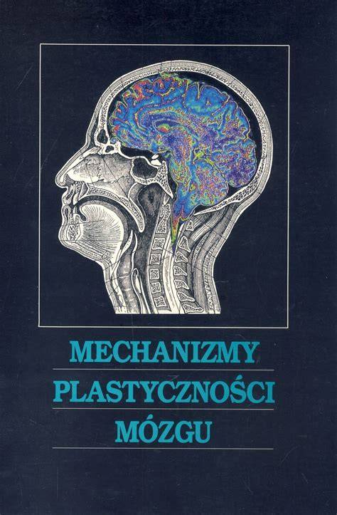 Infografika: SBS a mechanizmy poranenia mozgu pri trasení