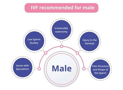 Schéma možností reprodukčnej asistencie (IVF) a vekových vplyvov