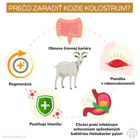 Novonarodené kozliatka pijúce mledzivo