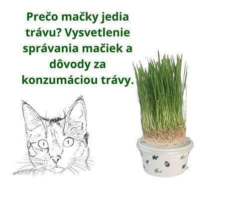 Kedy kozliatka začnú jesť trávu