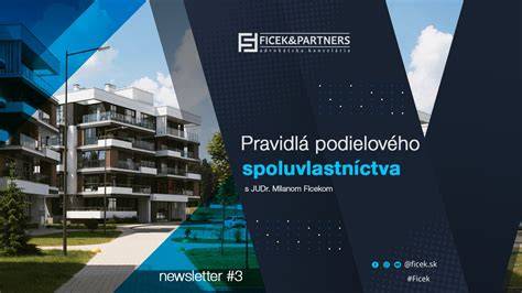 Infografika: Schéma vyporiadania podielového spoluvlastníctva a možnosti rozdelenia rodinného domu